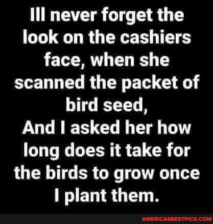 Ill never forget the look on the cashiers face, when she scanned the packet of bird seed,
And I asked her how long does it take for the birds to grow once plant them.