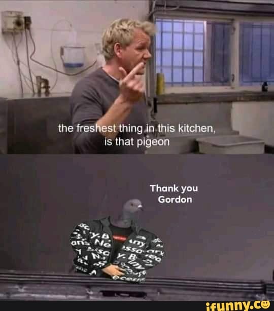 is that pigeon
Thank you
> Gordon
the this piishen.