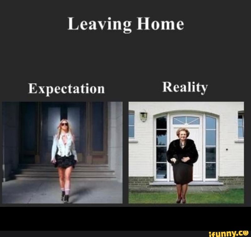 Leave me home. Expectation vs reality шаблон. Expectation reality Template. Expectations vs reality ALIEXPRESS. Expectation vs reality in Education.