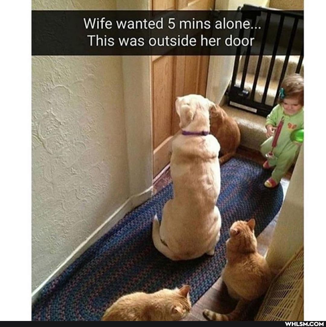 Wife wanted 5 mins alone...
This was outside her door
moos