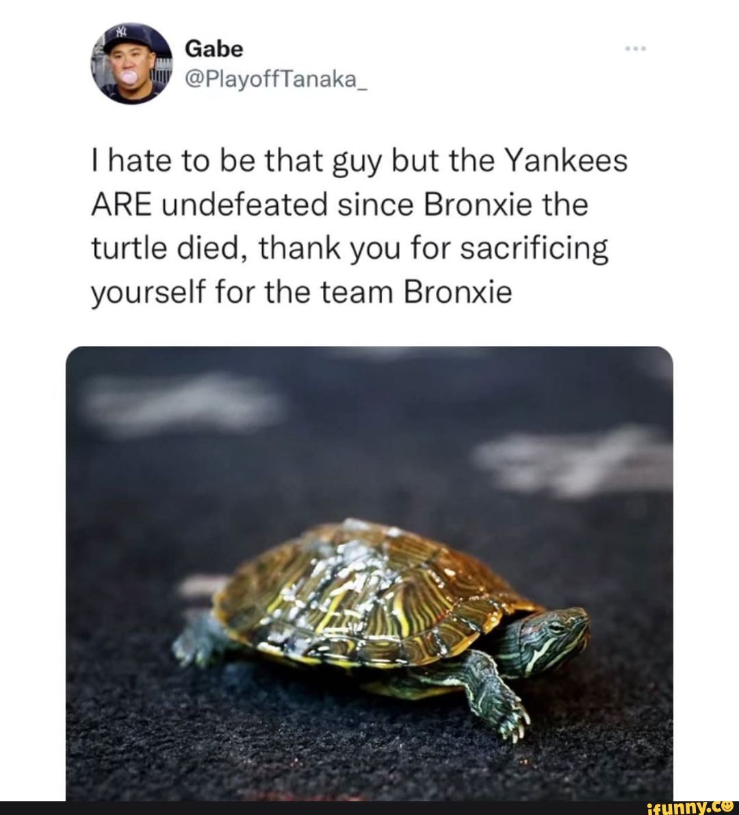 In honor of one of the most memorable blunders, I made this meme :  r/NYYankees