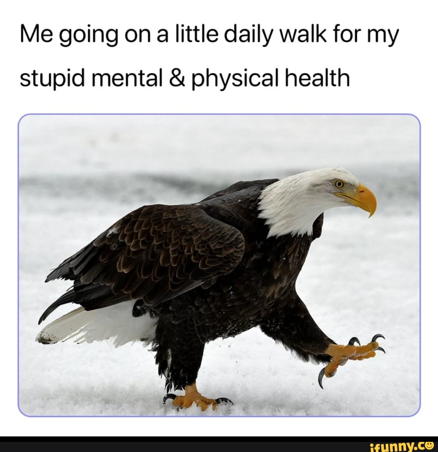 Me going on a little daily walk for my stupid mental &amp; physical health - )