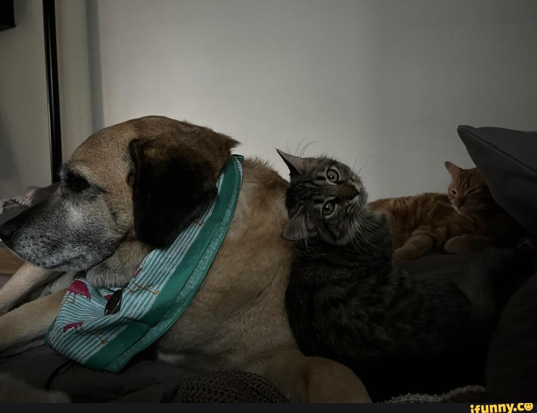 Here at my moms house for a visit with a kitten who didn’t like anyone