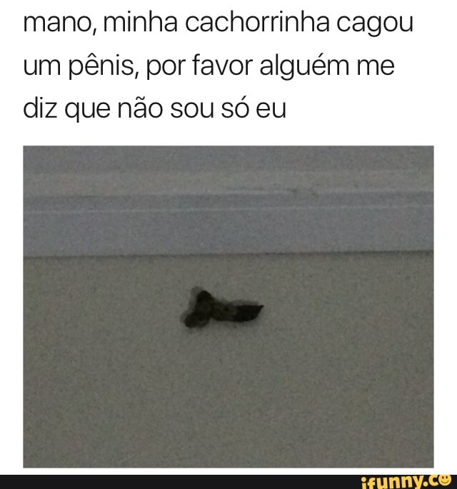 mano, minha cachorrinha cagou
um pênis, por favor alguém me
diz que não sou só eu