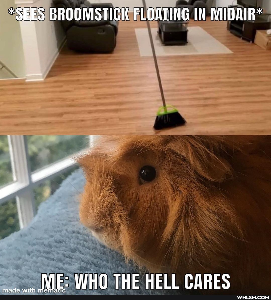 *SEES BROOMSTICK FLOATING IN MIDAIR*
(WIE: WHO THE HELL CARES