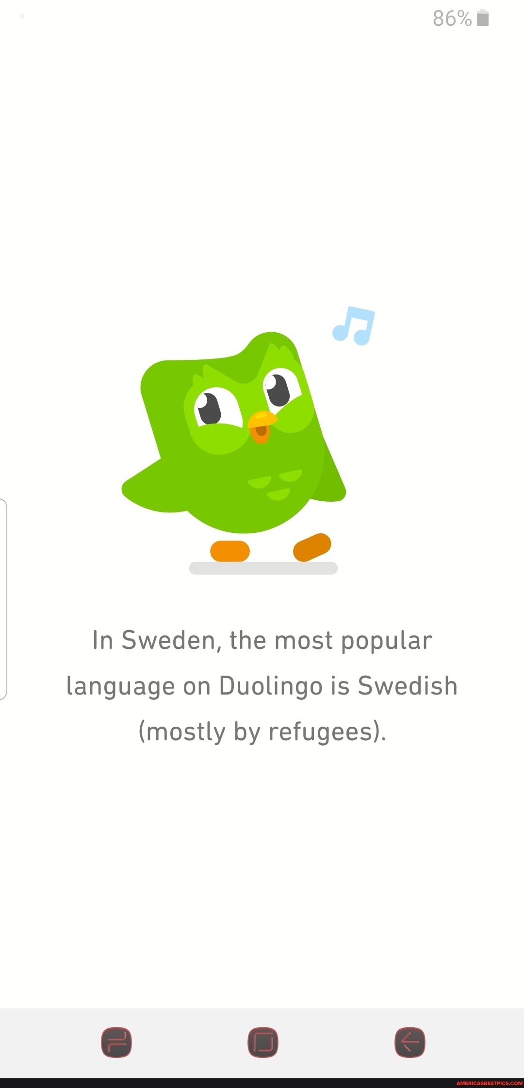 Почему дуолинго грустный. Дуолинго. Дуолинго смешные фразы. Duolingo crying. Напоминалки Дуолинго.