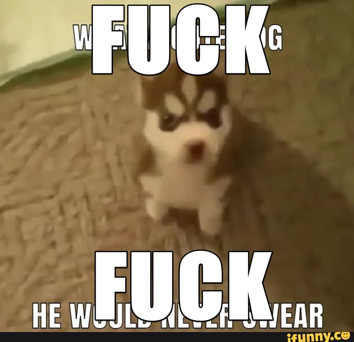 FUCK:
HE EuUCK..
