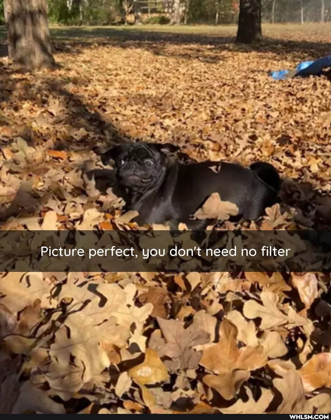 Mo
wt
Picture perfect, you don't need no filter
