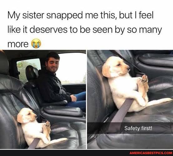 My sister snapped me this, but I feel like it deserves to be seen by so many more
Safety first!