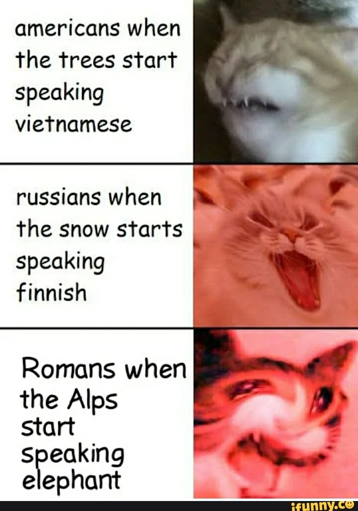 americans when
the trees start
speaking
vietnamese
russians when
the snow starts
speaking
finnish
Romans when
the Alps
start
speaking
elephant