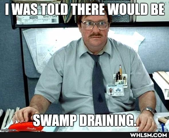 TWAS TOLD THERE WOULD BE
SWAMBDRAINING