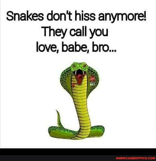 Snakes don't hiss anymore! They call you love, babe, bro... 