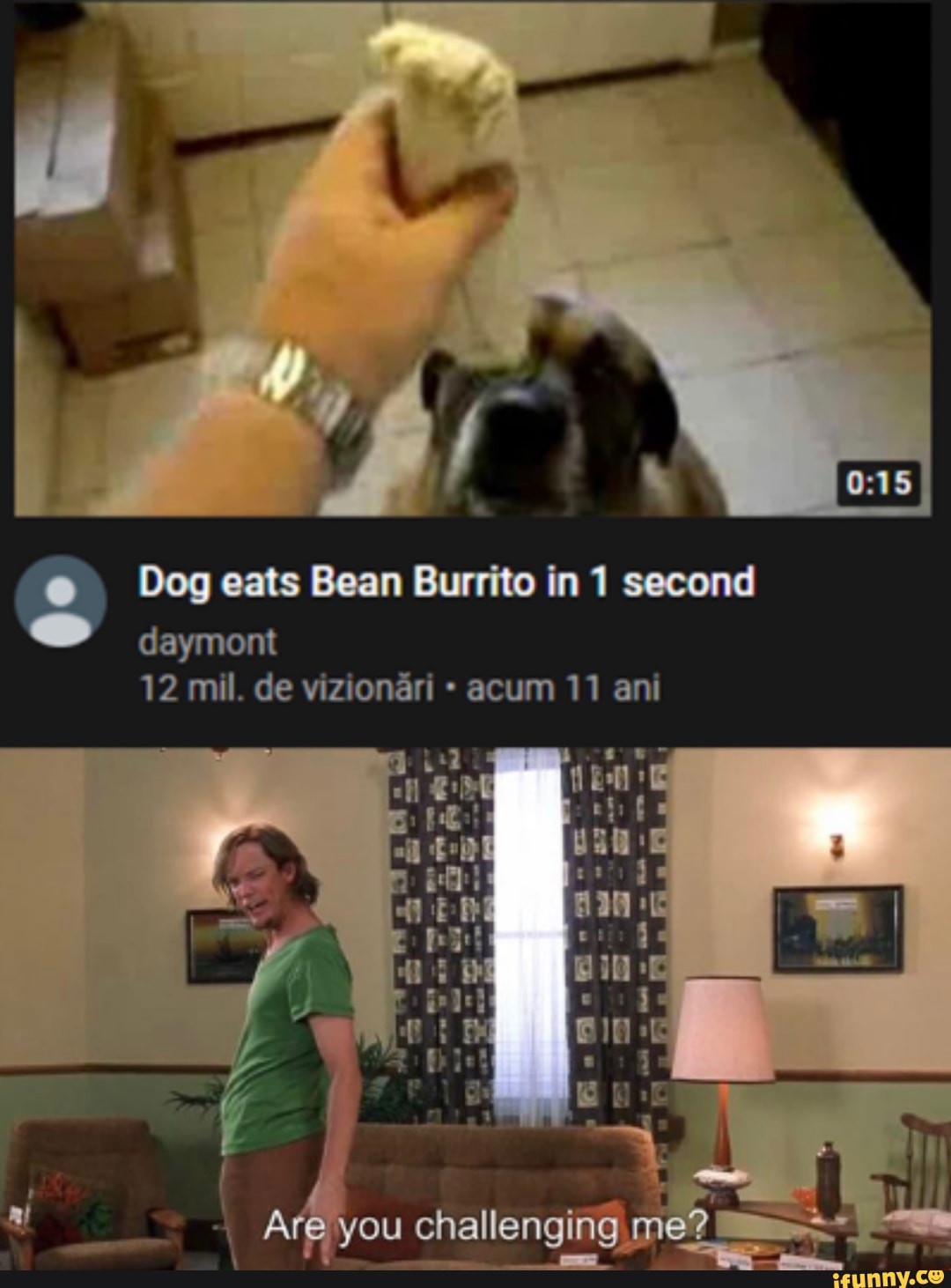 Dog eats Bean Burrito in 1 second
daymont
12 mil. de vizionari acum 11 ant
A you challenging me?