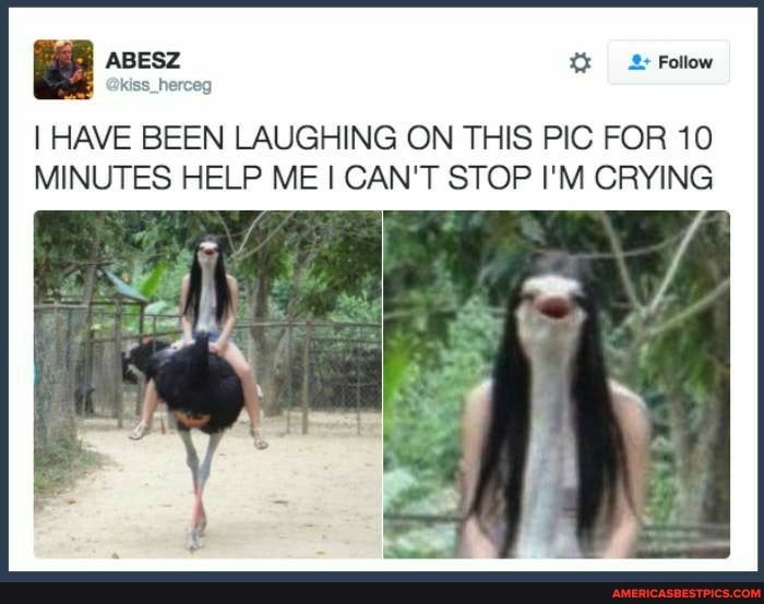 I HAVE BEEN LAUGHING ON THIS PIC FOR 10
MINUTES HELP ME I CAN'T STOP I'M CRYING