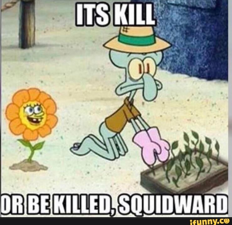ITS KILL
ORBEKILLED'SOUIDWARD