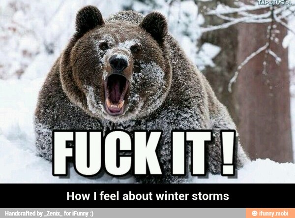 How I feel about winter storms - How I feel about winter storms