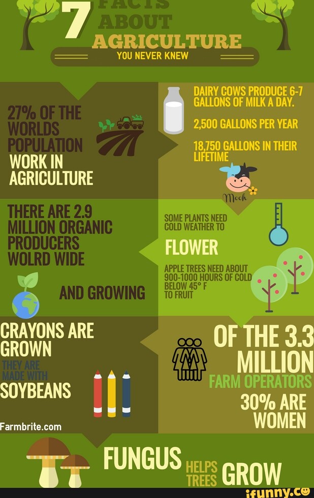 AGRICULTURE YOU NEVER KNEW DAIRY COWS PRODUCE 6-7 GALLONS OF MILK A DAY