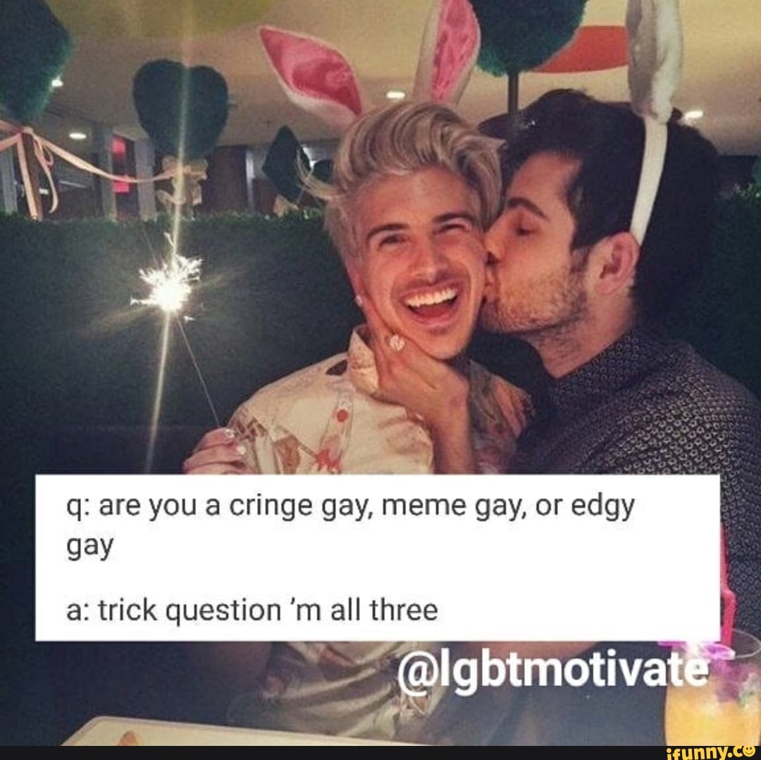 one direction gay memes