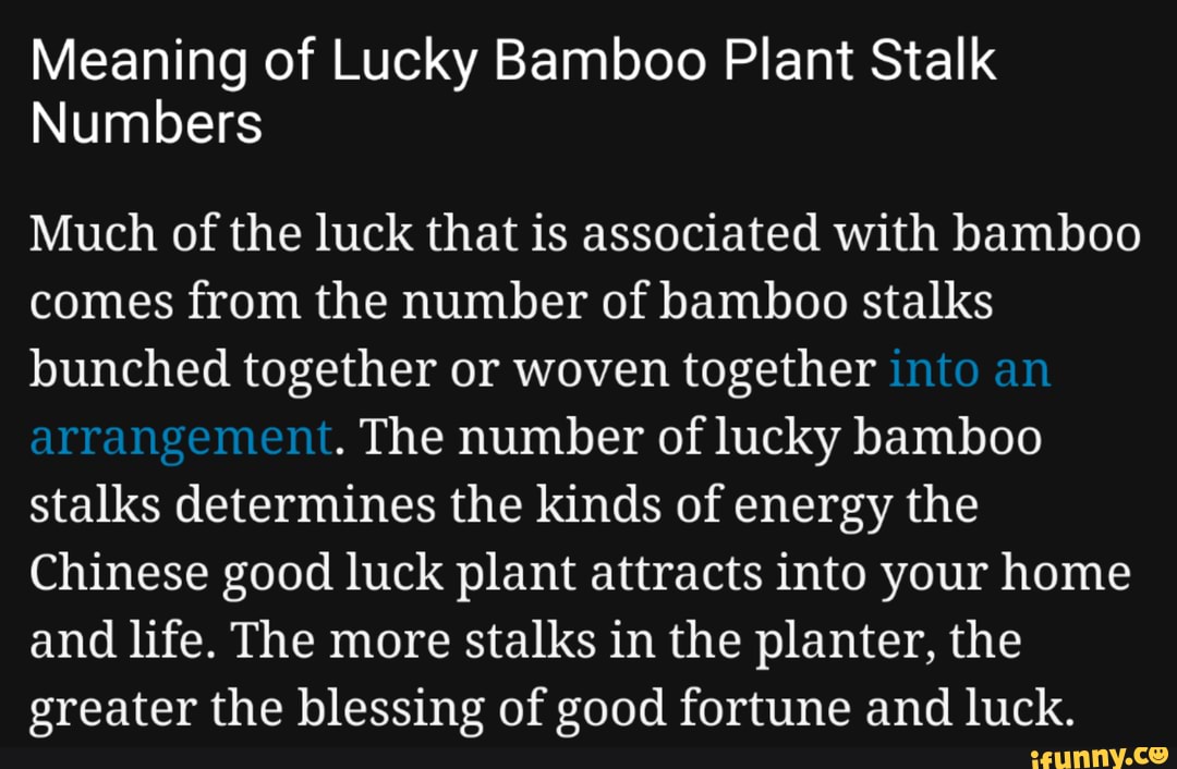 The Chinese believe that Lucky Bamboo given as a gift brings good karma