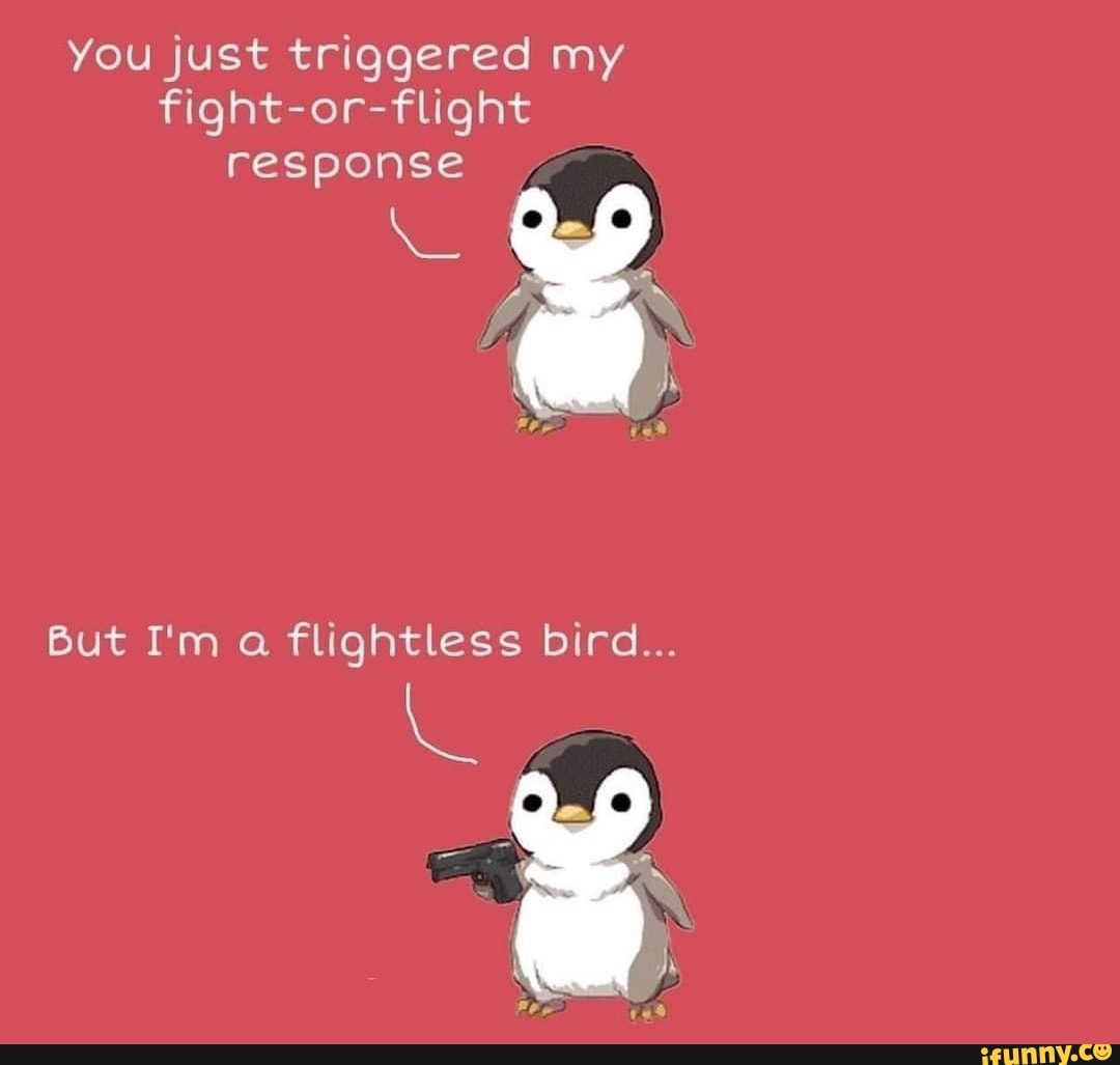 you-just-triggered-my-fight-or-flight-response-but-i-m-a-flightless