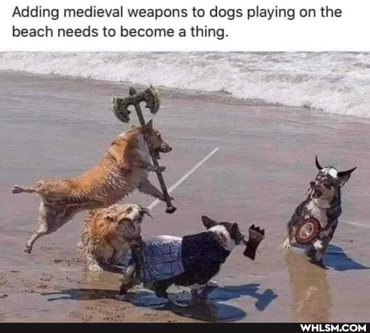 Adding medieval weapons to dogs playing on the beach needs to become a thing.