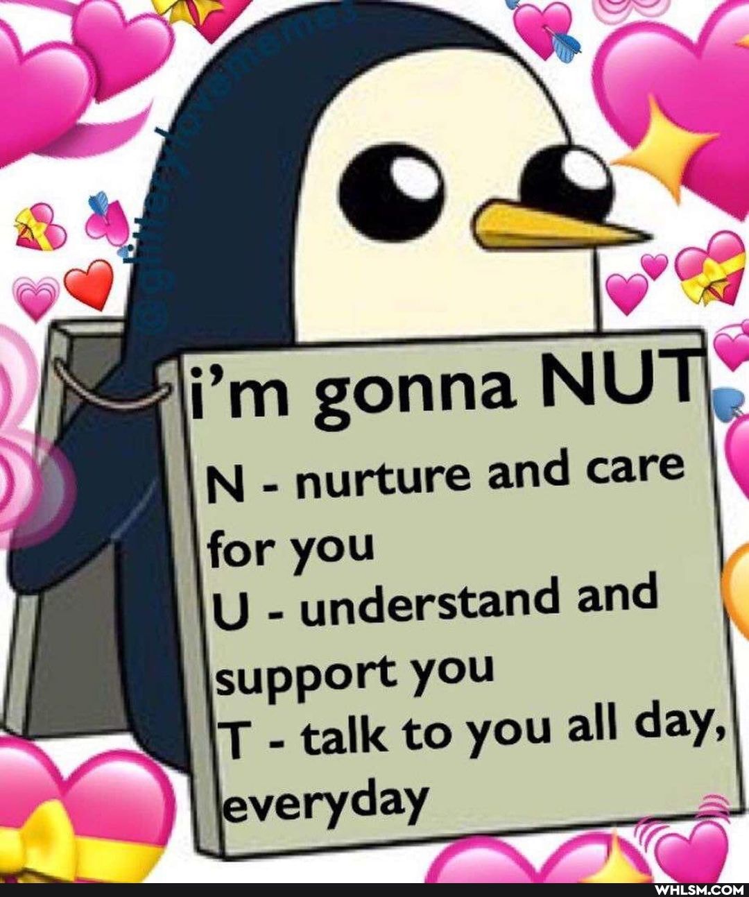 i'm gonna NU N - nurture and care
I for you
U - understand and
talk to you alll