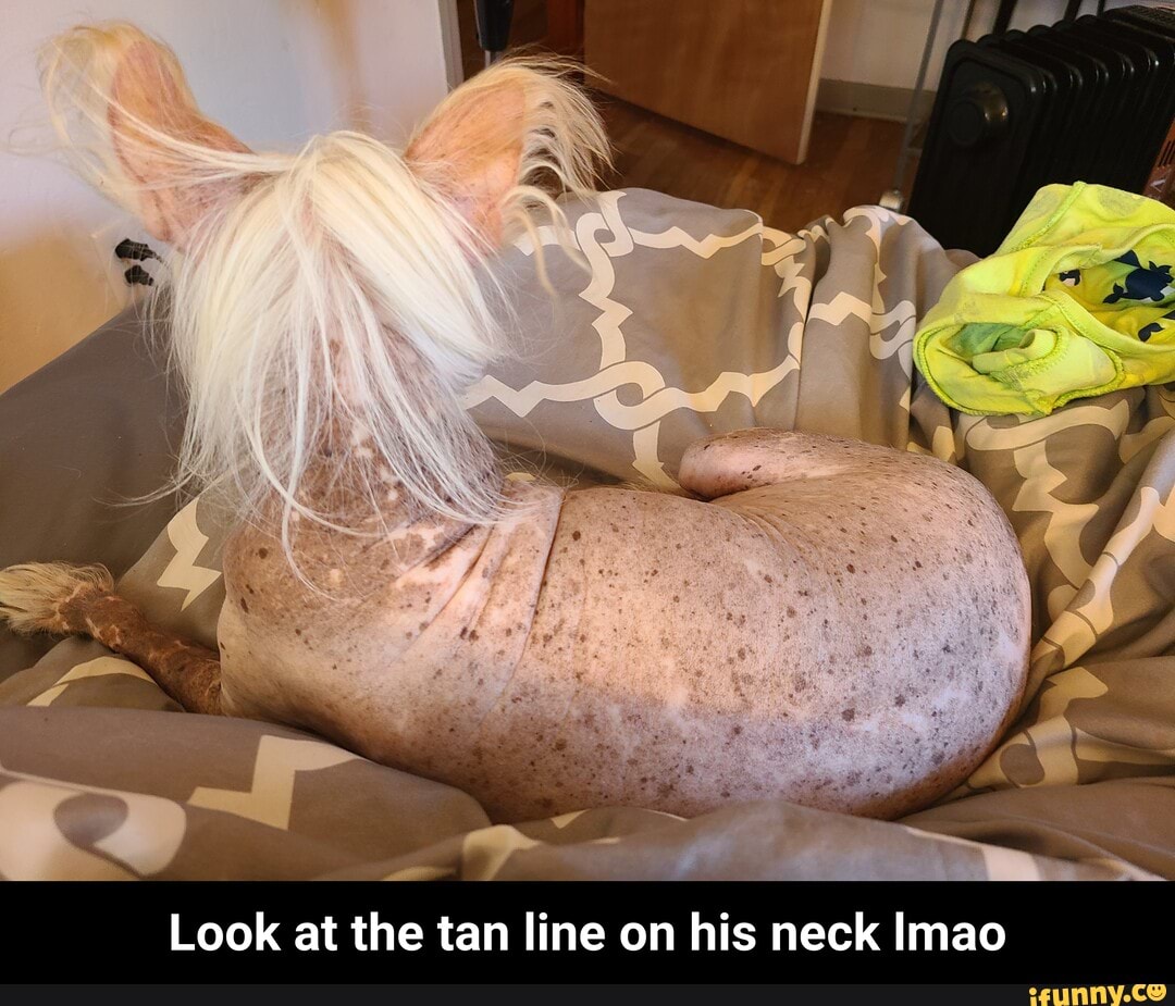 Look at the tan line on his neck lmao