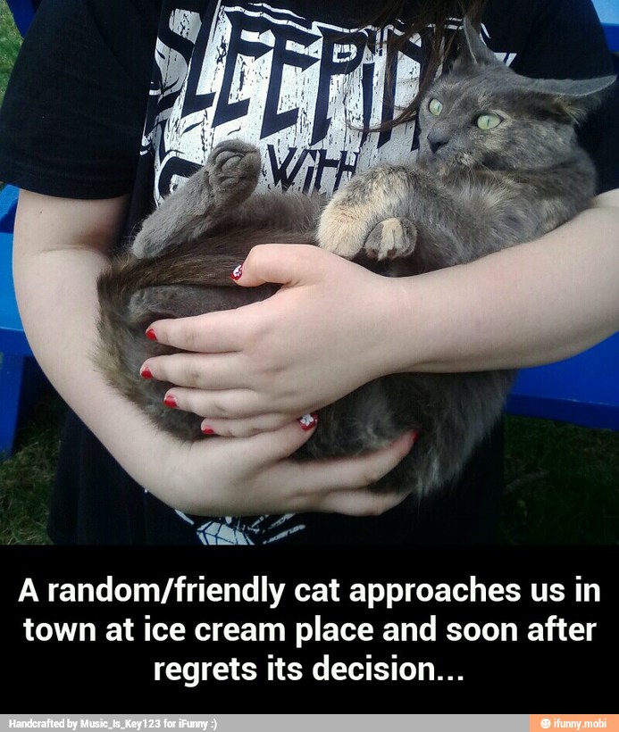 A random /friendly cat approaches us in
town at ice cream place and soon after
regrets its decision... - A random/friendly cat approaches us in town at ice cream place and soon after regrets its decision...