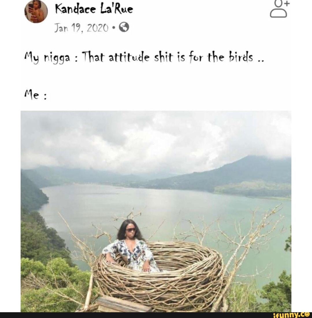 al weer
Kandace La Rue CC)
Jan 19, 2020
My nigga : That attitude shit is for the birds
Me: