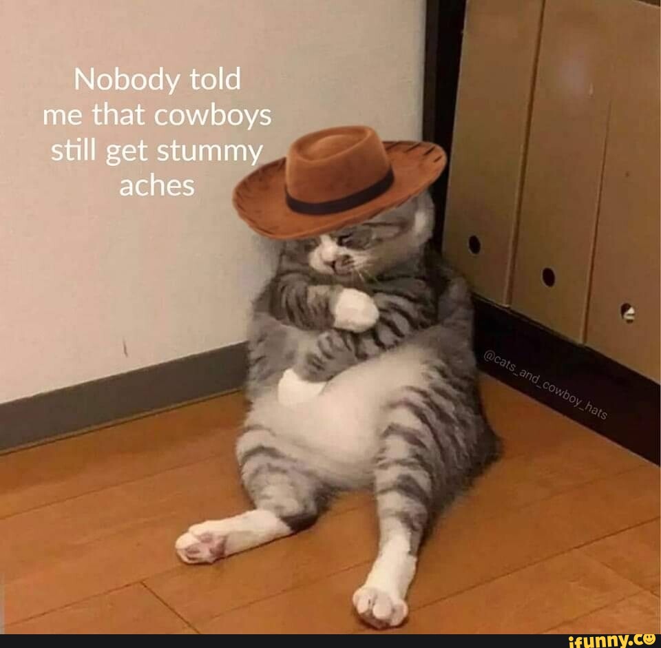 Nobody told me that cowboys still get stummy aches - iFunny