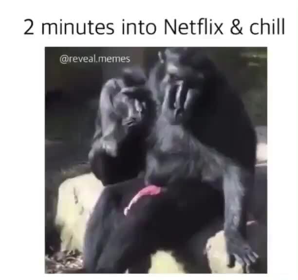 Cheeky Monkey 2 Minutes Into Netflix Chill Reveal Memes Ifunny