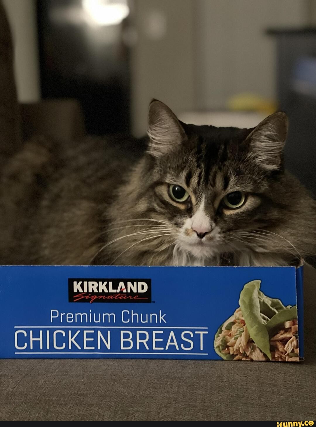 This is Zelda, always caught in random Costco boxes. Perfect cat trap