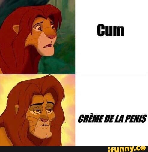 CHEME DE LA PENIS