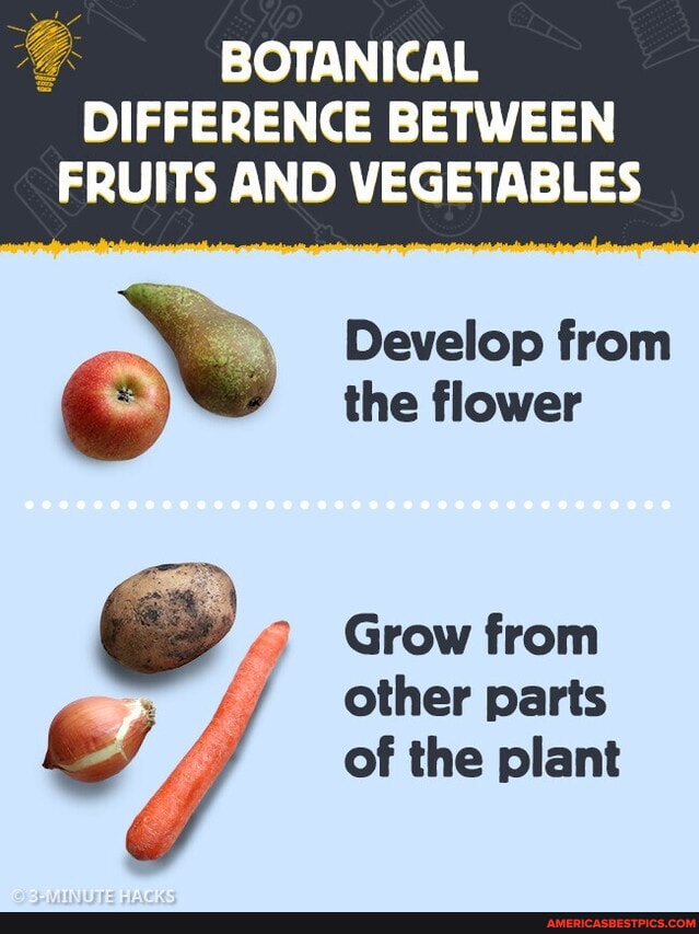 Botanical difference between fruits and vegetables brightside 