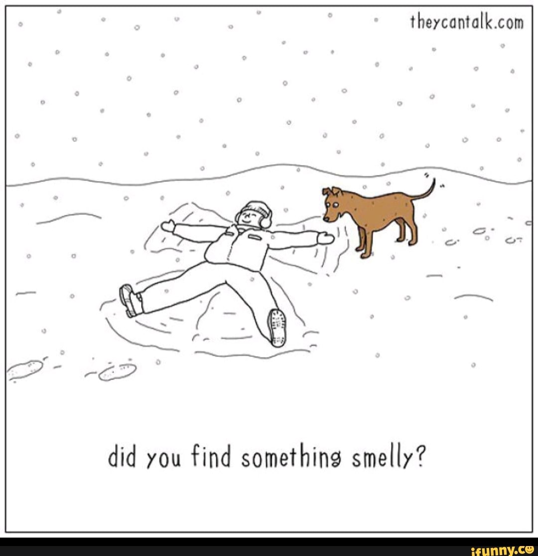 did you
find something smelly?