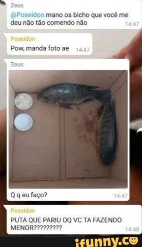 mano os bicho que você me
deu não tão comendo não
Pow, manda foto ae
PUTA QUE PARIU OQ VC TA FAZENDO