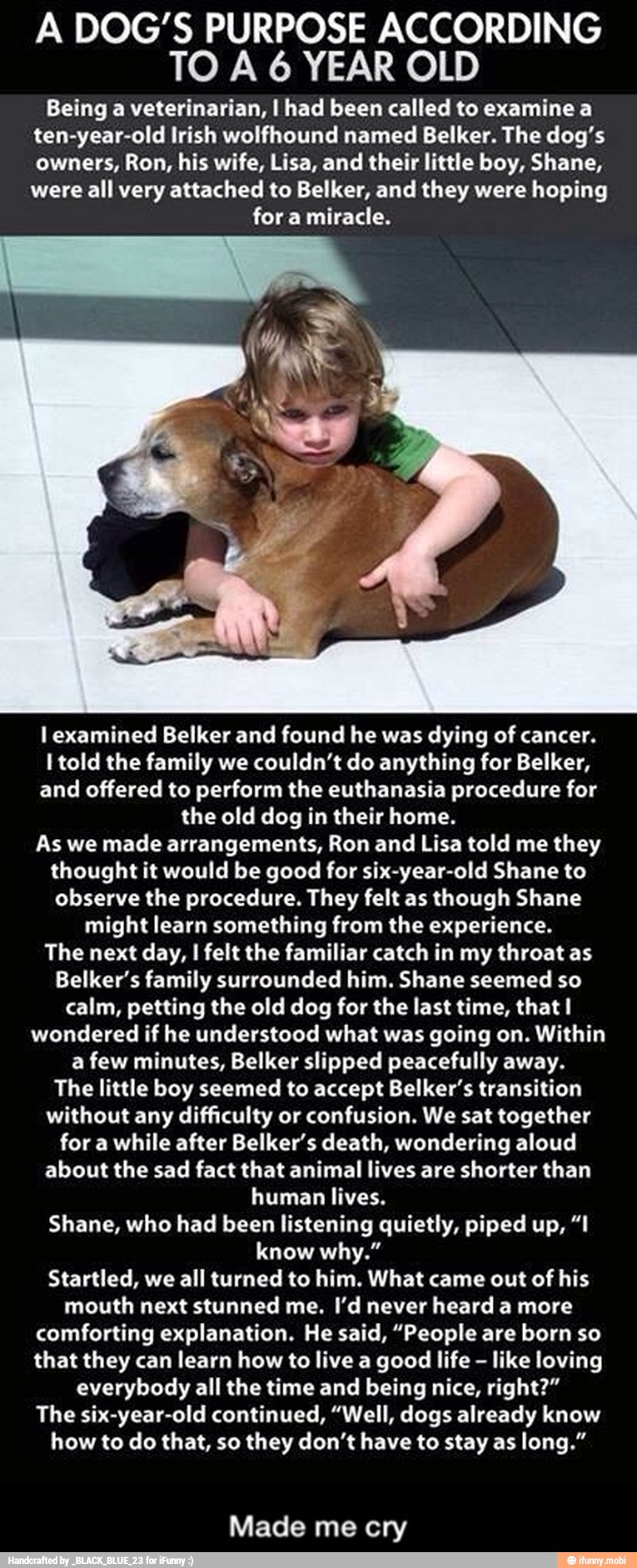 A DOG'S PURPOSE ACCORDING
TO A 6 YEAR OLD
Being a veterinarian, I had been called to examine a
ten-year-old Irish wolfhound named Belker. The dog's
owners, Ron, his wife, Lisa, and their little boy, Shane,
were all very attached to Belker, and they were hoping
for a miracle.
I examined Belker and found he was dying of cancer.
I told the family we couldn't do anything for Belker,
and offered to perform the euthanasia procedure for
the old dog in their home.
As we made arrangements, Ron and Lisa told me they
thought it would be good for six-year-old Shane to
observe the procedure. They felt as though Shane
might learn something from the experience.
The next day, I felt the familiar catch in my throat as
Belker's family surrounded him. Shane seemed so
calm, petting the old dog for the last time, that I
wondered if he understood what was going on. Within
a few minutes, Belker slipped peacefully away.
The little boy seemed to accept Belker's transition
without any difficulty or confusion. We sat together
for a while after Belker's death, wondering aloud
about the sad fact that animal lives are shorter than
human lives.
Shane, who had been listening quietly, piped up, "1
know why."
Startled, all turned him. What his - Made me cry