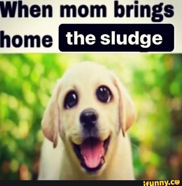 When mom brings home the sludge - iFunny