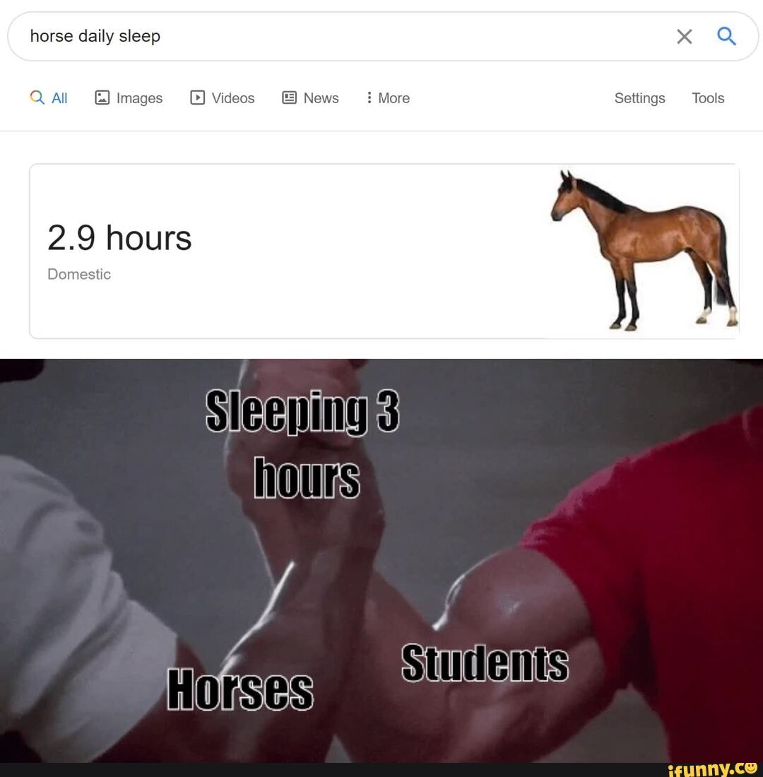 horse daily sleep
Q aAll Images Videos
2.9 hours
Sleeningys hours