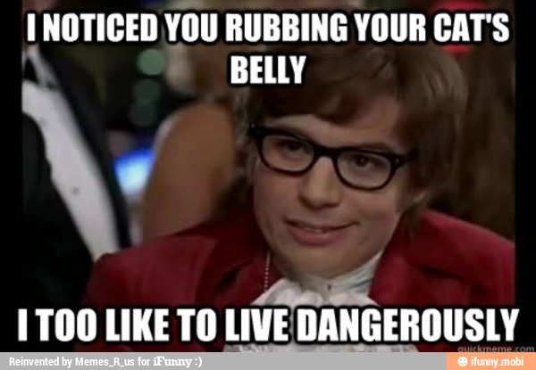 NOTICED YOU RUBBING YOUR CAT'S
y BELLY
A
1T00 LIKE TO LIVE DANGEROUSLY