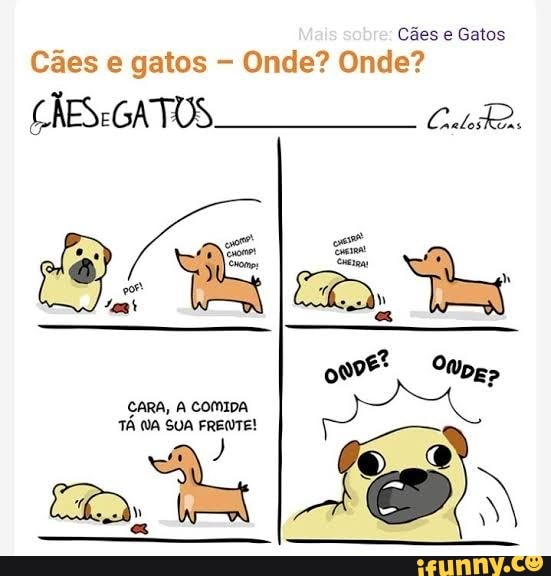 Cães e Gatos
Cães e gatos Onde? Onde?