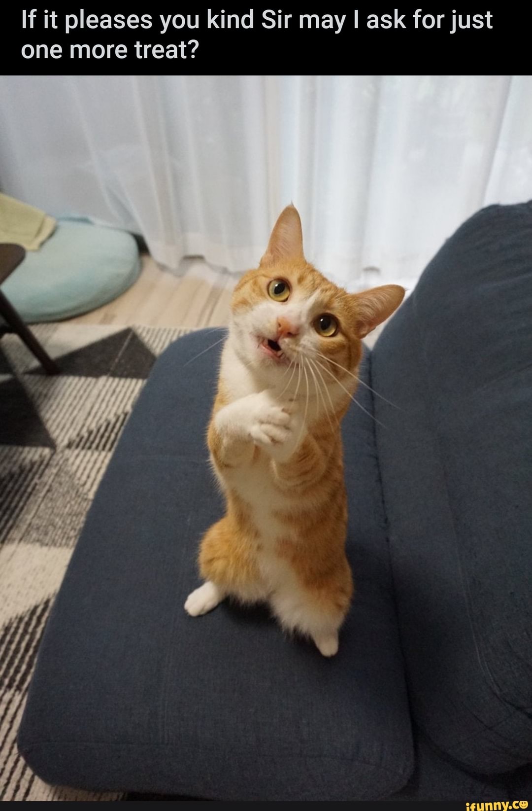 If it pleases you kind Sir may I ask for just one more treat?