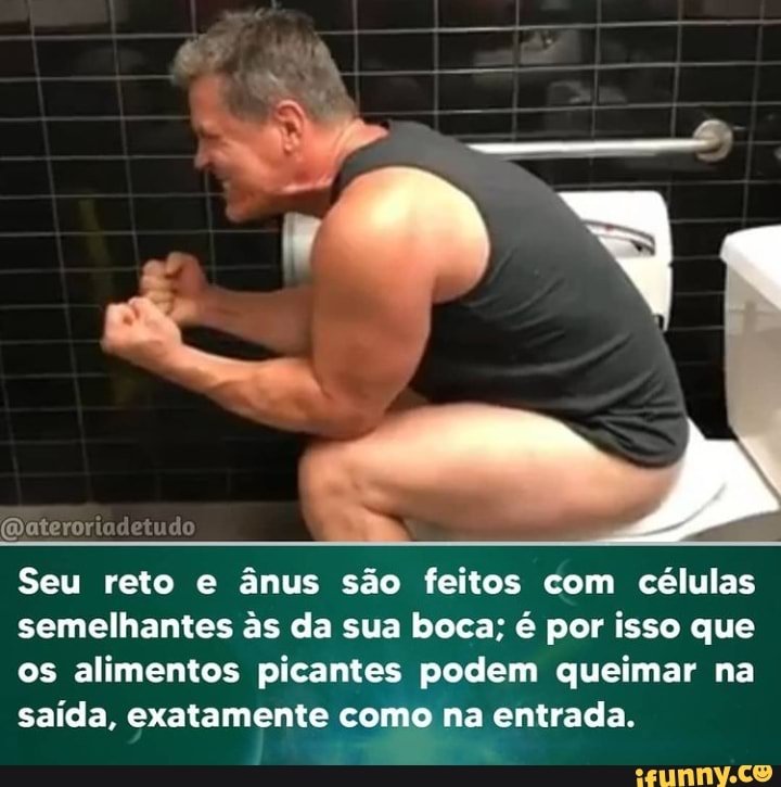 (Qaterorio
Seu reto e ânus são feitos com células semelhantes as da sua boca; é por isso que os alimentos picantes podem queimar na saída, exatamente como na entrada.