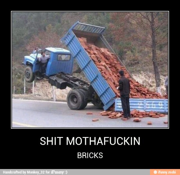 SHIT MOTHAFUCKIN
BRICKS - SHIT MOTHAFUCKIN
BRICKS