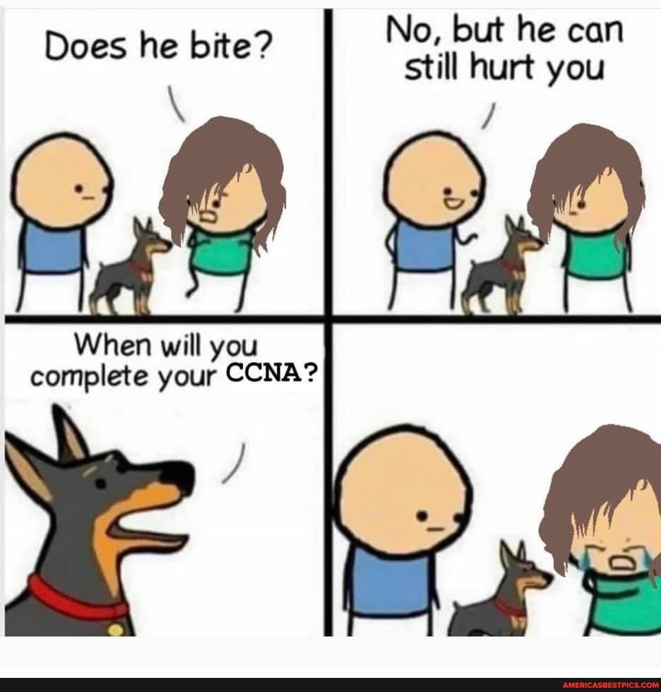 No, but he can still hurt you
Does he bite?
When will you complete your CONAN?