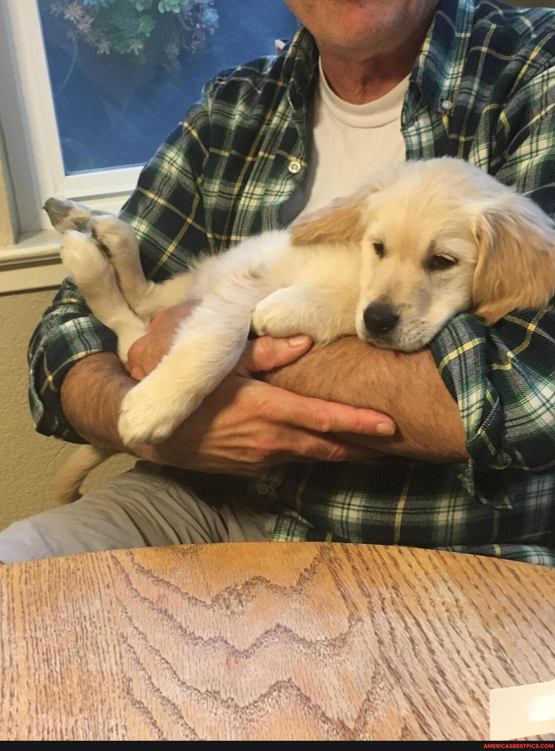 Paintballs Memes Best Collection Of Funny Paintballs Pictures On America S Best Pics And Videos