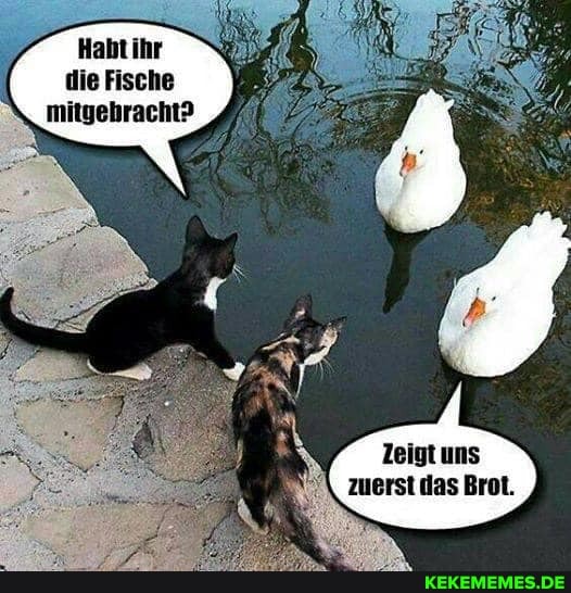 Haht ihr die Fische mitgehracht?
Zeigt uns zuerst das Brot.