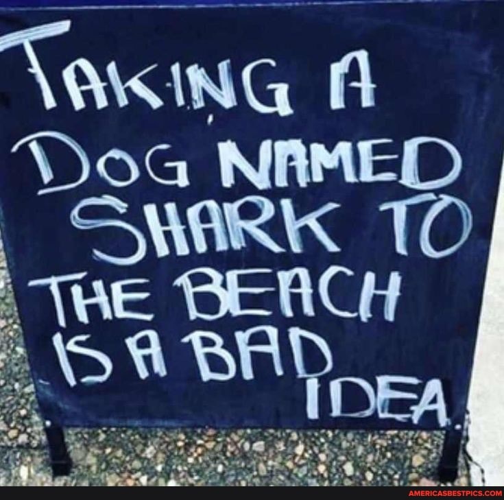 TAKING ING Doa NAMED SWARK TO
\WE BEACH