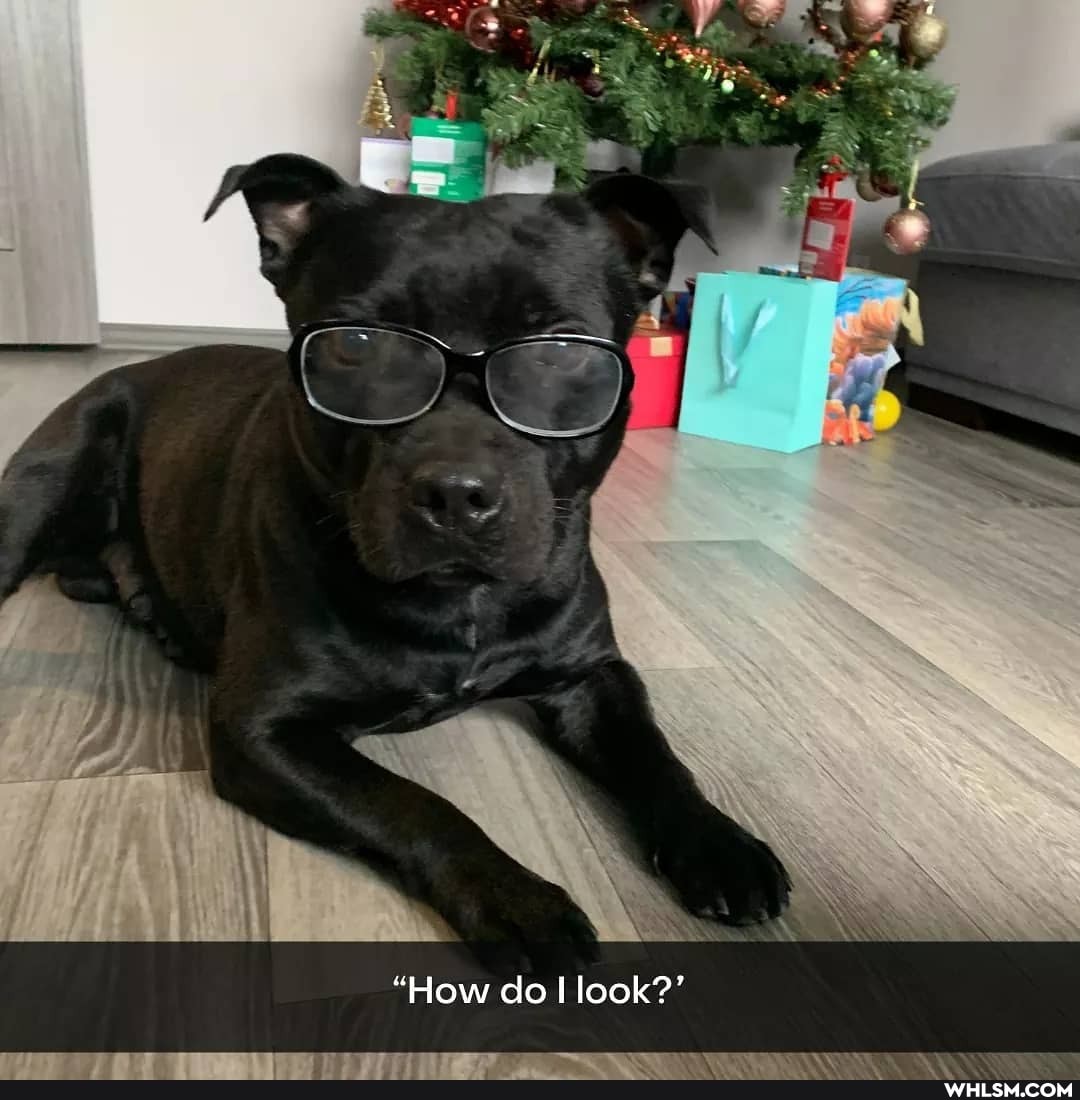 "How do I look?'