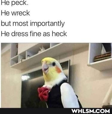 He Peck.
He wreck but most importantly
He dress fine as heck
Lor pp